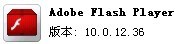 Adobe Flash Player For IE