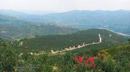 雷溝村[甘肅靜寧縣治平鎮管轄村]