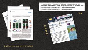 MRF細胞膜修復套組相關報導