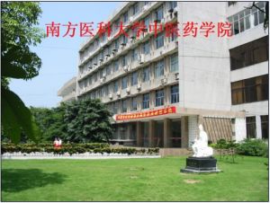 南方醫科大學中醫藥學院