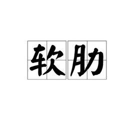 軟肋[漢語詞語]