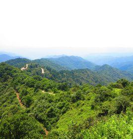 黃龍山[陝西省延安地區山脈]