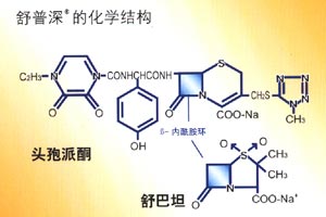 肺出血-腎炎綜合徵