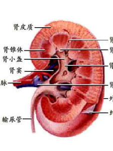 腎源性水腫