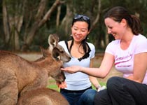 可倫賓野生動物園