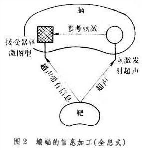 生物全息術