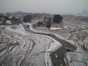 傅家辛莊村