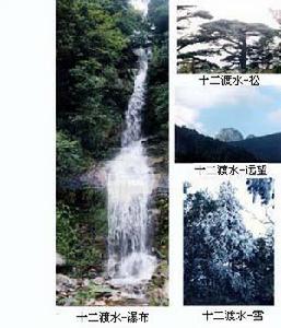 韶關九峰十二渡水