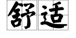 舒適[詞語解釋]