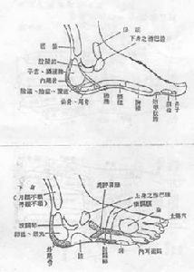 腳背腱鞘炎