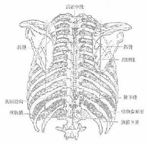 肺芽生菌病