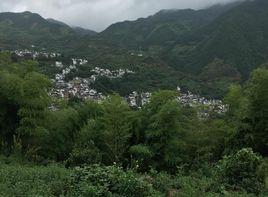 金竹村[安徽省黃山市歙縣杞梓里鎮金竹村]