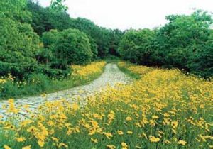 惠山國家森林公園