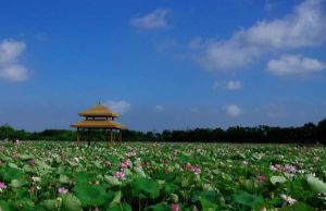 梁鴻國家濕地公園