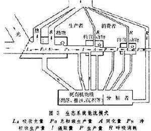 自養演替