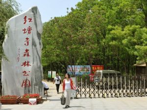 紅壇寺森林公園