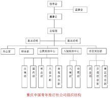 重慶青年旅行社公司組織結構