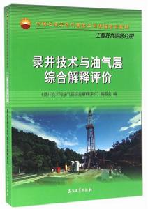 錄井技術與油氣層綜合解釋評價