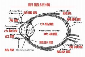 原發性青光眼