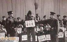 1983年全國嚴打事件