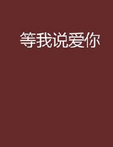 等我說愛你[網路小說]