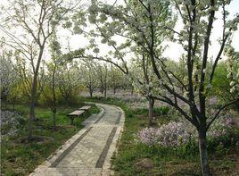 京城梨園