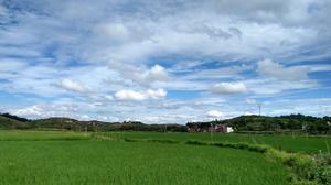 湖邊村[湖南省常寧市鹽湖鎮湖邊村]