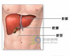 戊型病毒性肝炎