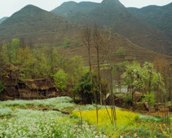 水城青林小花苗寨