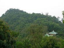 廣東黃岐山森林公園