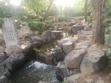 唐大慈恩寺遺址公園