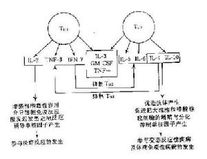 細胞因子