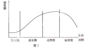 生命周期消費理論