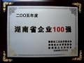 2005年度湖南省企業100強