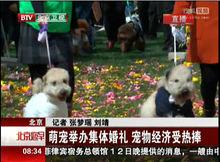 中國首屆寵物集體婚禮