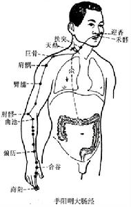 （圖）商陽穴