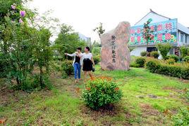 郭寨村[江蘇省泰興市宣堡鎮郭寨村]