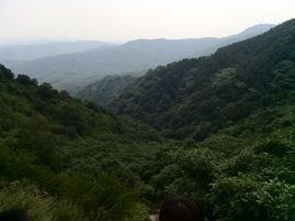 發鳩山