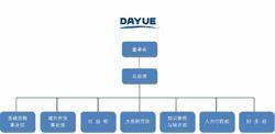 北京大岳諮詢有限責任公司