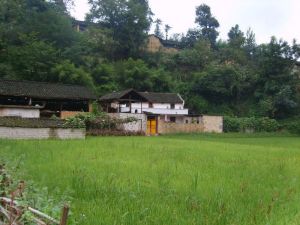 大倮泥自然村 大倮泥自然村