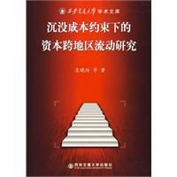 沉沒資本約束下的資本跨地區流動研究