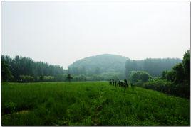 粟山[山東省濟南市天橋區粟山]