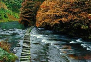 花揪山風景區