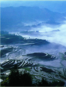 Youyang Tujia and Miao Autonomous County