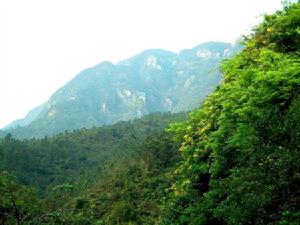 大雁山風景區