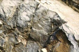 矽質灰岩