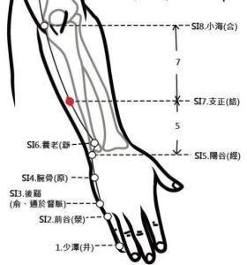 支正穴