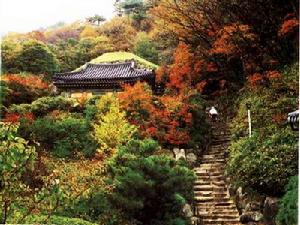 石窟庵和佛國寺