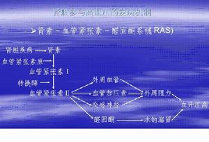 特發性急性小管間質性腎炎