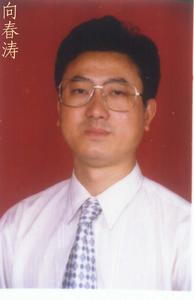 向春濤